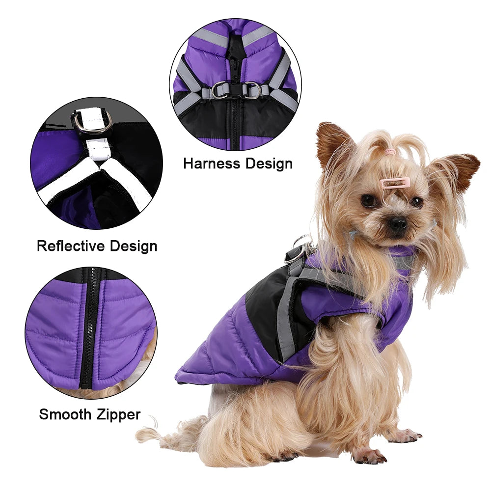 Waterproof Jacket With Harness