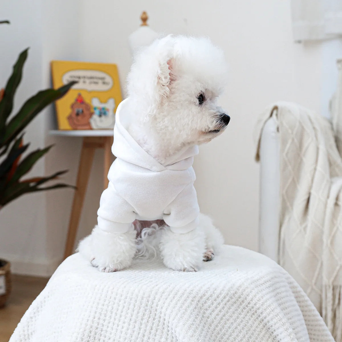Mini Boss Hooded Sweatshirt