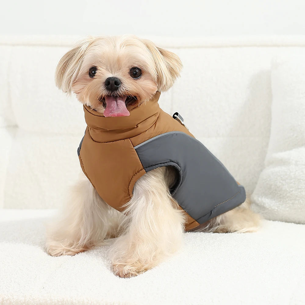 Winter Coat