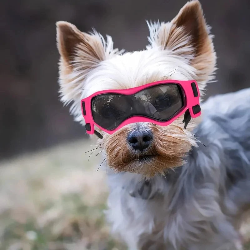 UV Protective Goggles