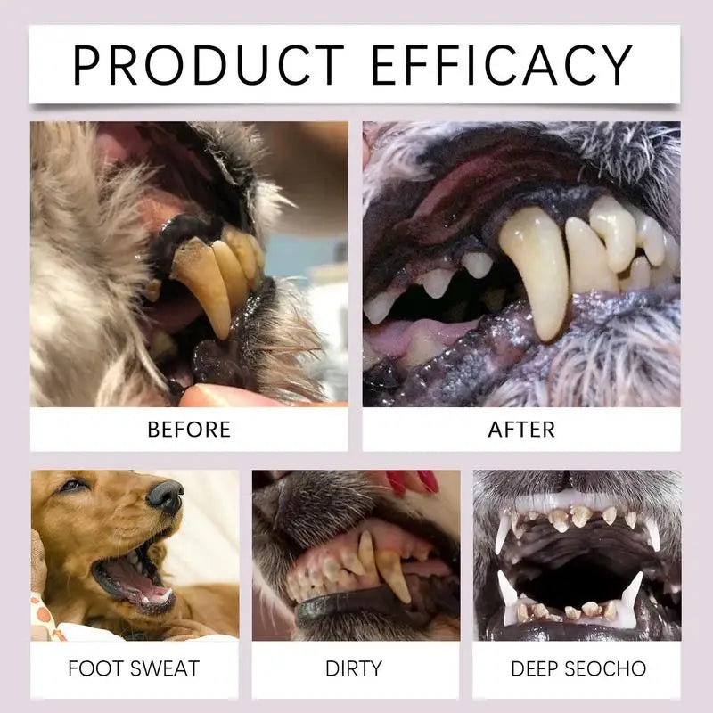 Pet Teeth Cleaning Pen