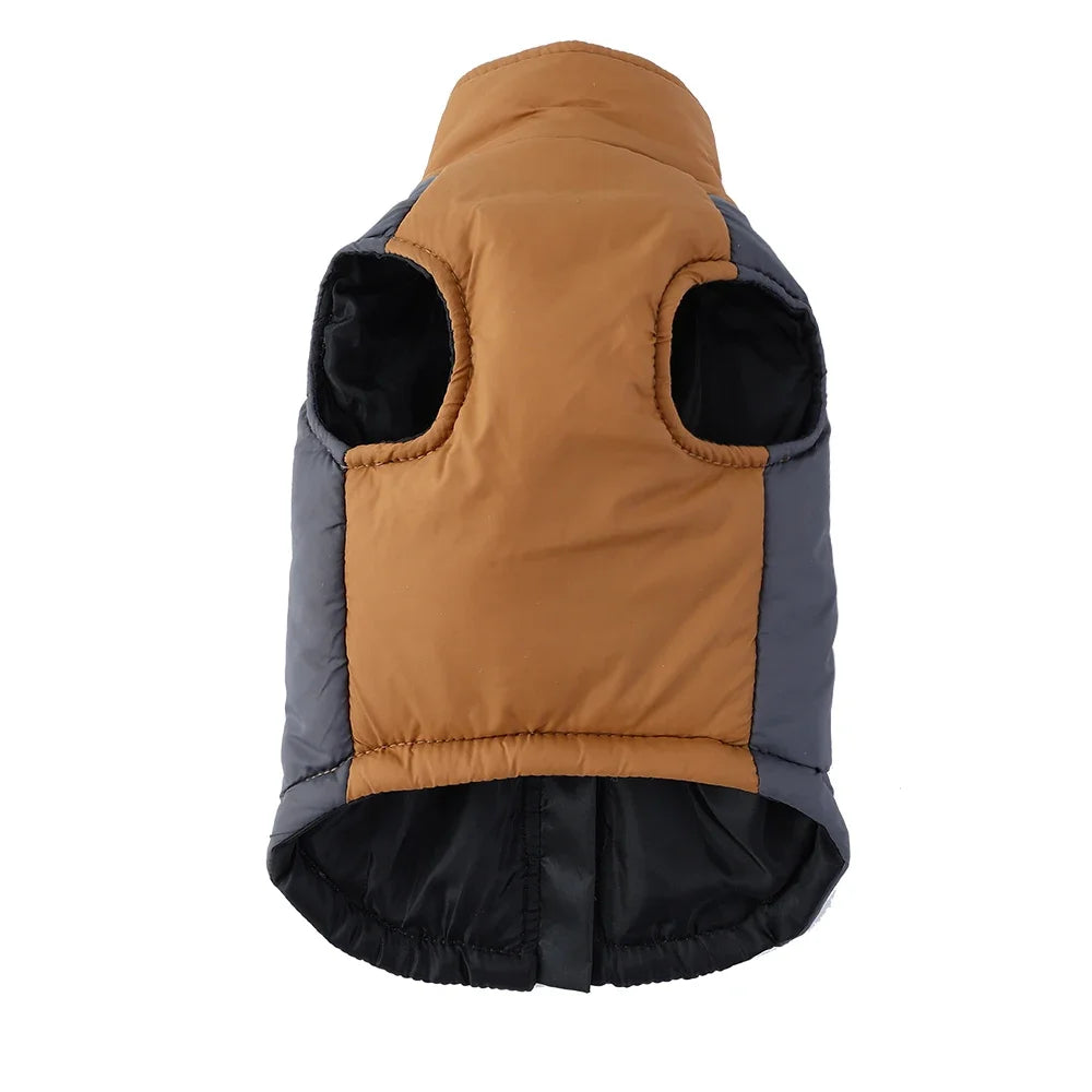 Winter Coat