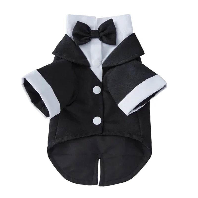 Wedding Shirt Tailcoats With Bow