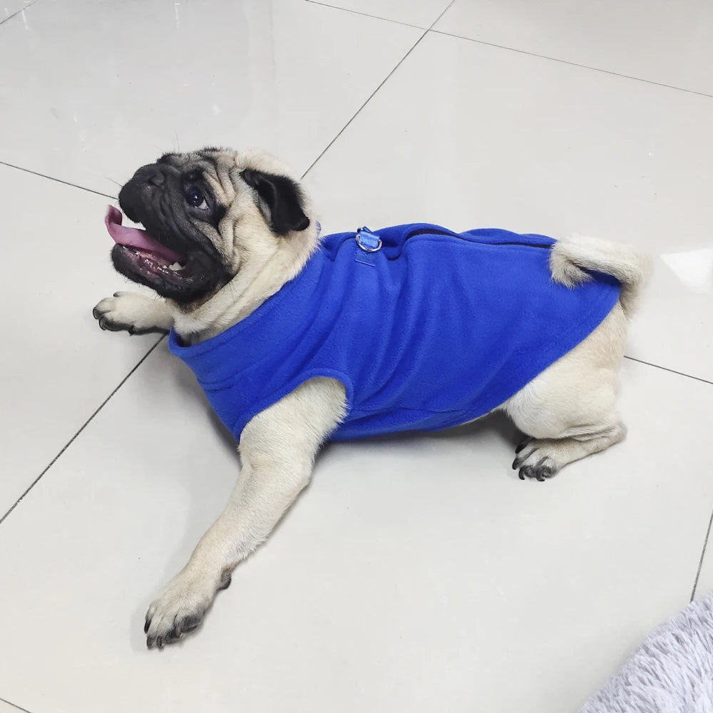 Soft Fleece French Bulldog Coat