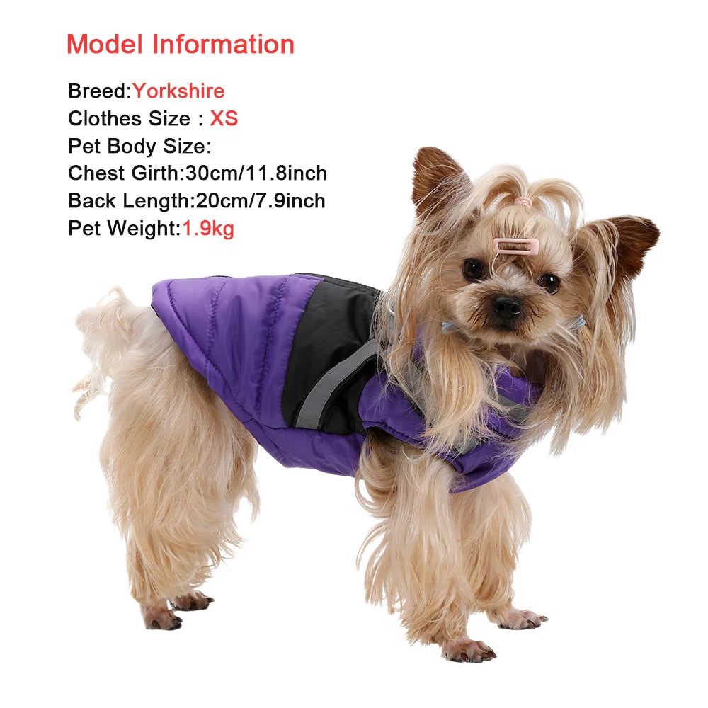 Waterproof Jacket With Harness