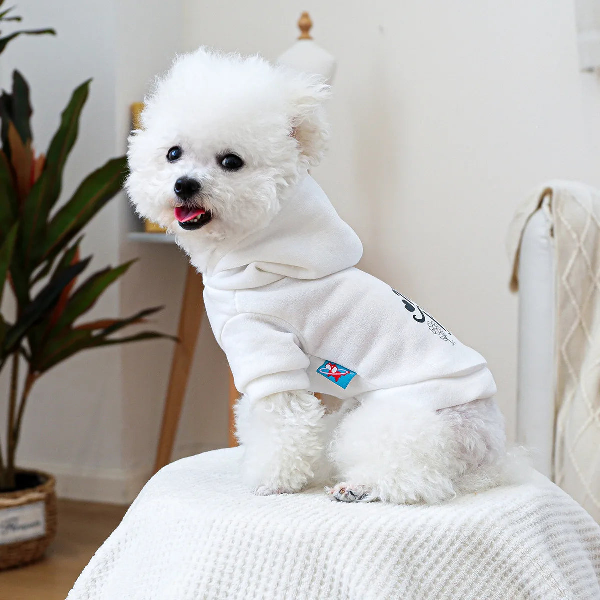Mini Boss Hooded Sweatshirt