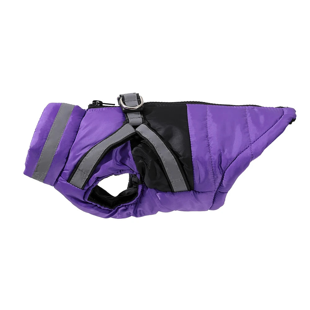 Waterproof Jacket With Harness