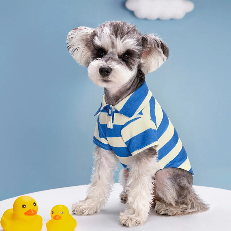 Breathable Summer T-Shirts