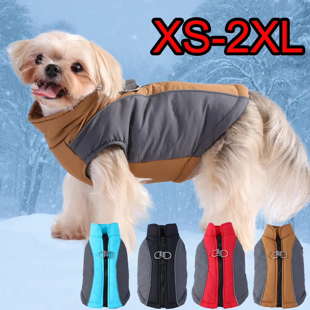 Winter Coat