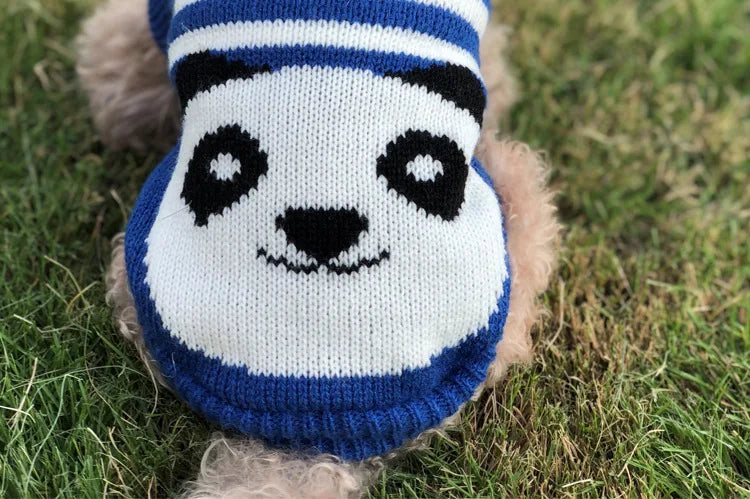 Winter Pet Sweater