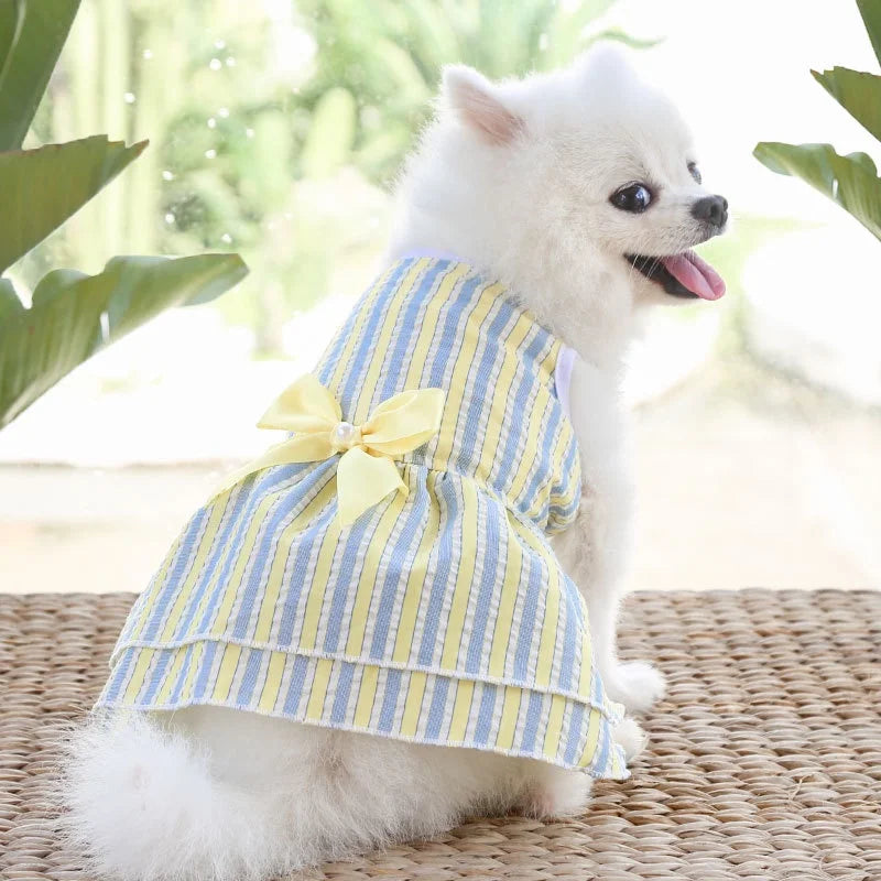 Striped Butterfly Skirt