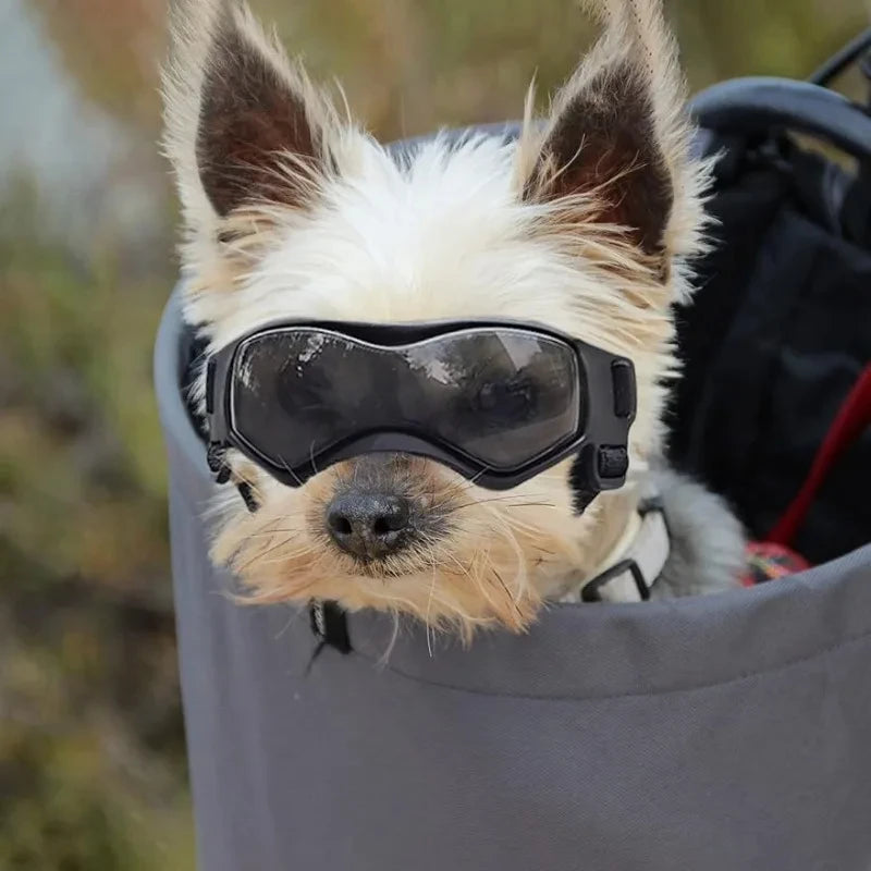 UV Protective Goggles