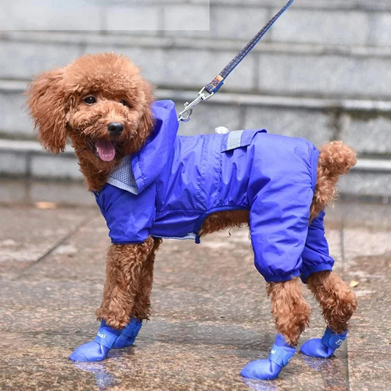 Candy Color Waterproof Booties