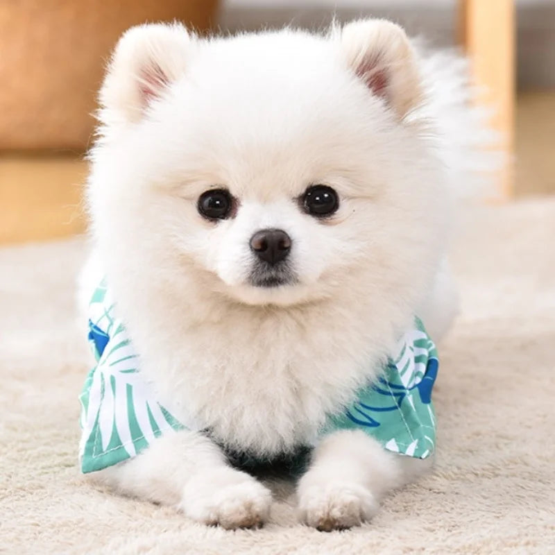 Summer Hawaiian Style Beach Shirt