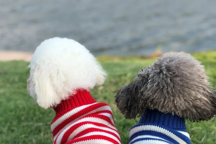 Winter Pet Sweater