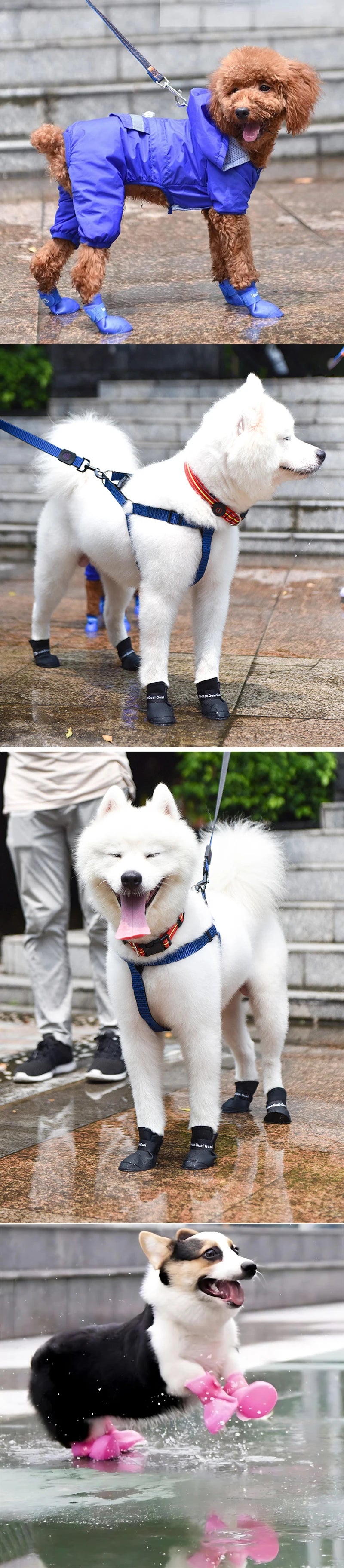 Chihuahua Anti-slip Rubber Boots