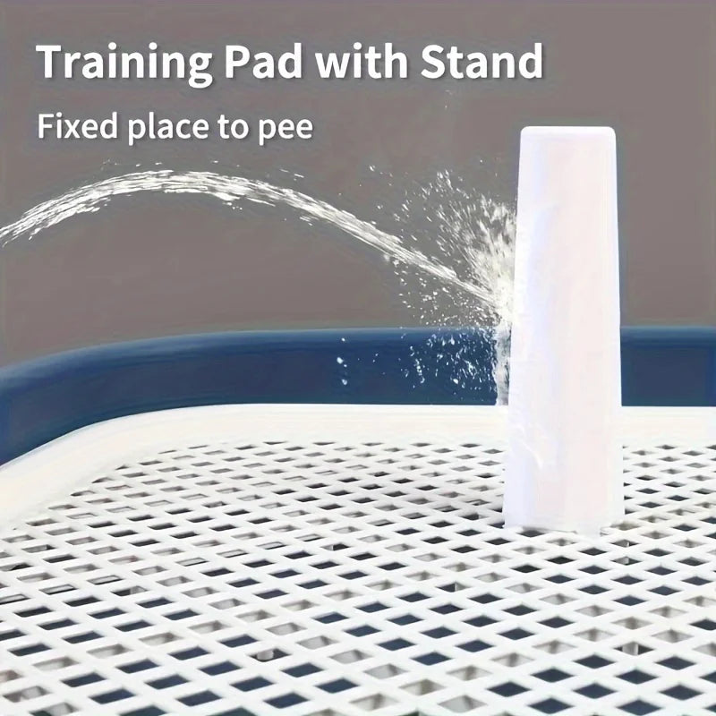Dog Potty Training