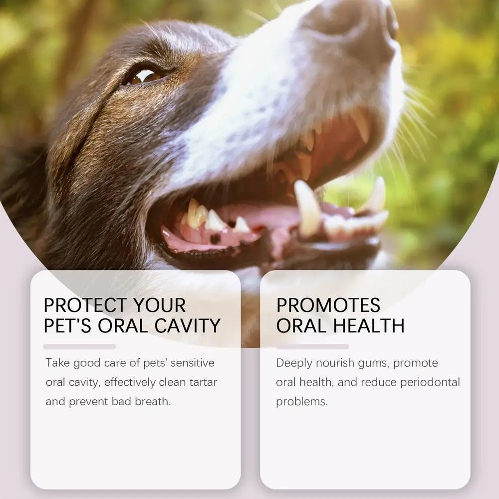 Pet Teeth Cleaning Pen