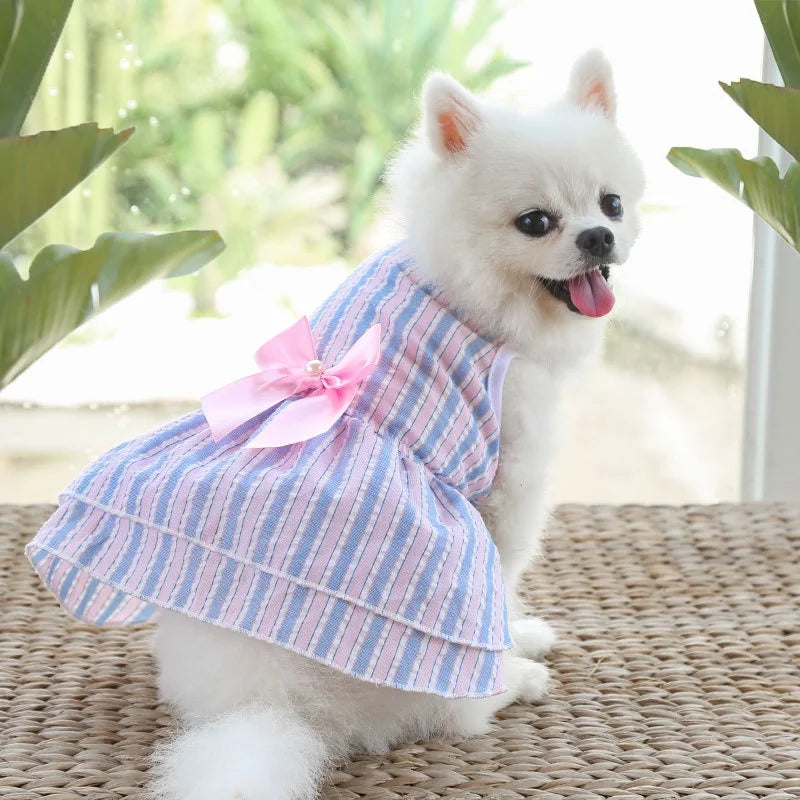 Striped Butterfly Skirt