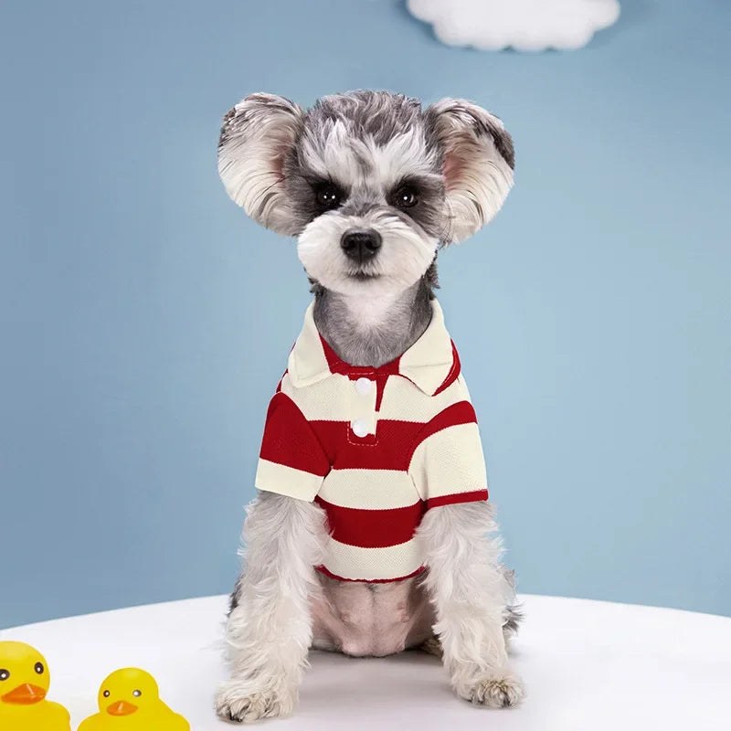 Breathable Summer T-Shirts
