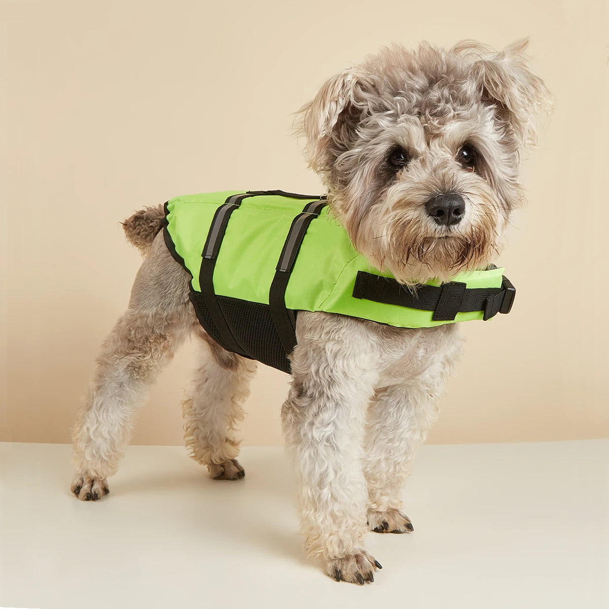 Reflective Adjustable Summer Large Dogs Life Jacket
