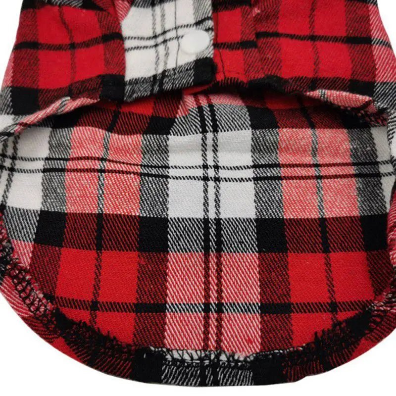 Summer Shirt For Small & Medium Dogs