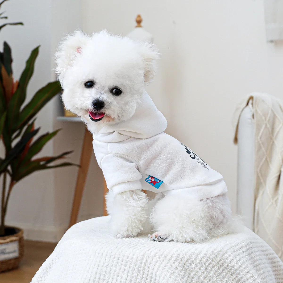 Mini Boss Hooded Sweatshirt