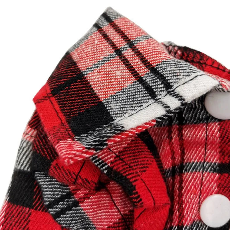 Summer Shirt For Small & Medium Dogs