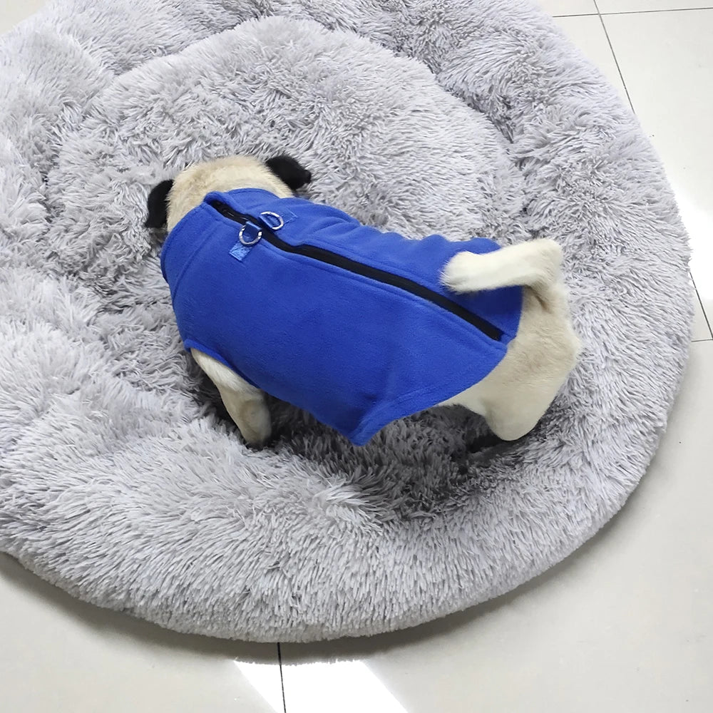 Soft Fleece French Bulldog Coat