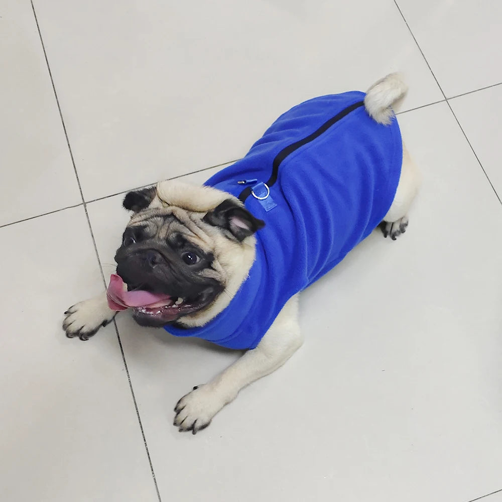 Soft Fleece French Bulldog Coat