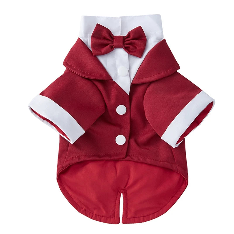 Wedding Shirt Tailcoats With Bow