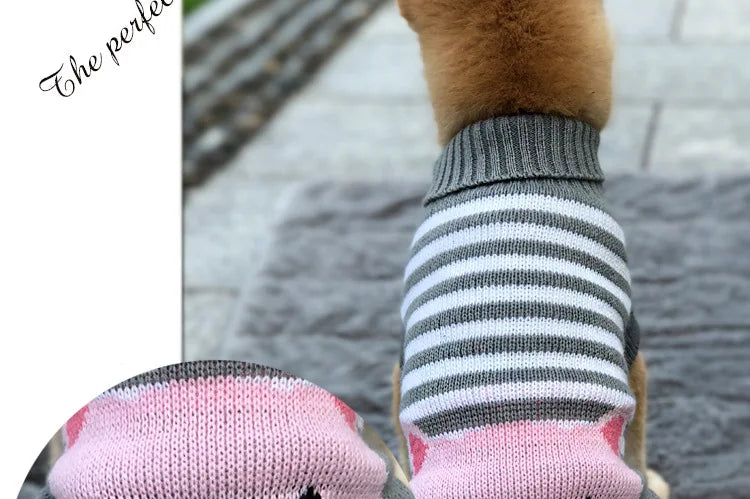Winter Pet Sweater