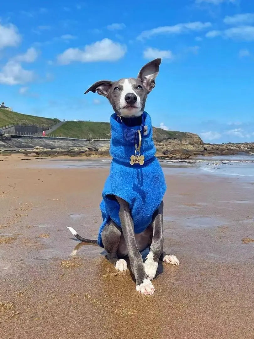 Winter Fleece Italian Greyhound Vest