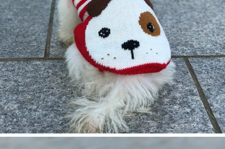 Winter Pet Sweater