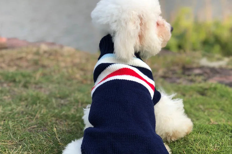Winter Pet Sweater