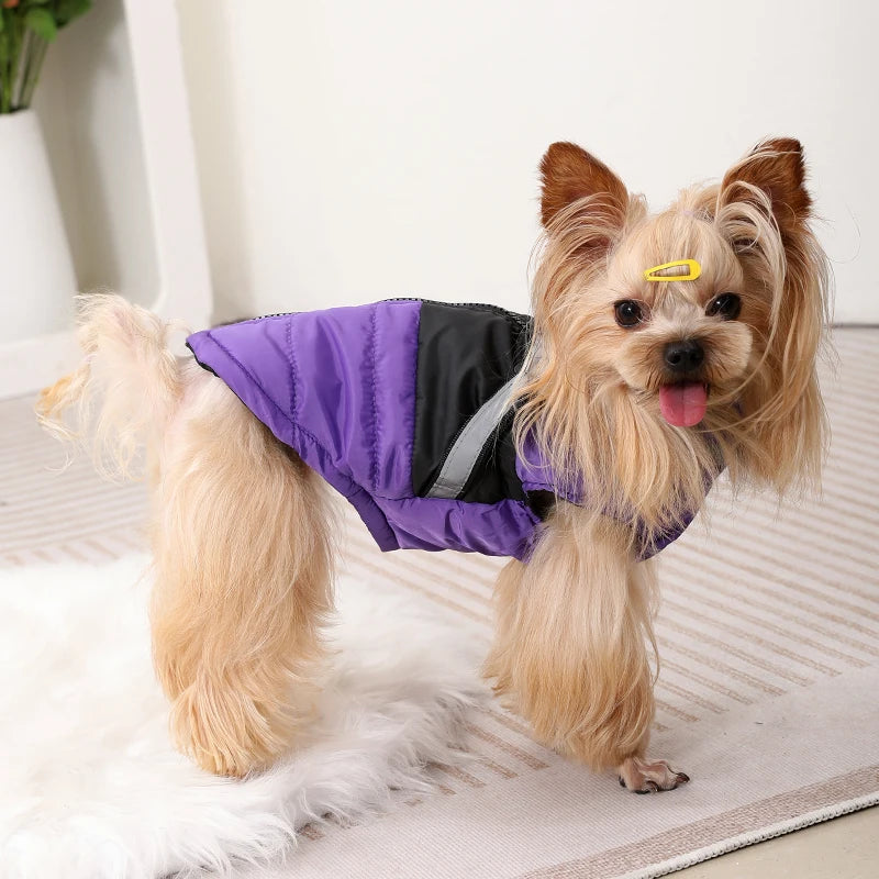 Waterproof Jacket With Harness