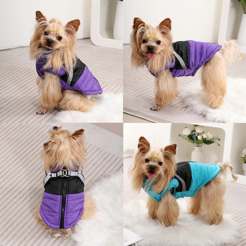 Waterproof Jacket With Harness
