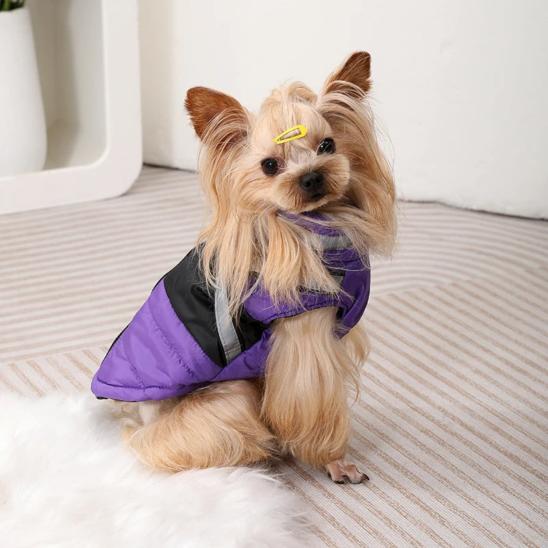 Waterproof Jacket With Harness