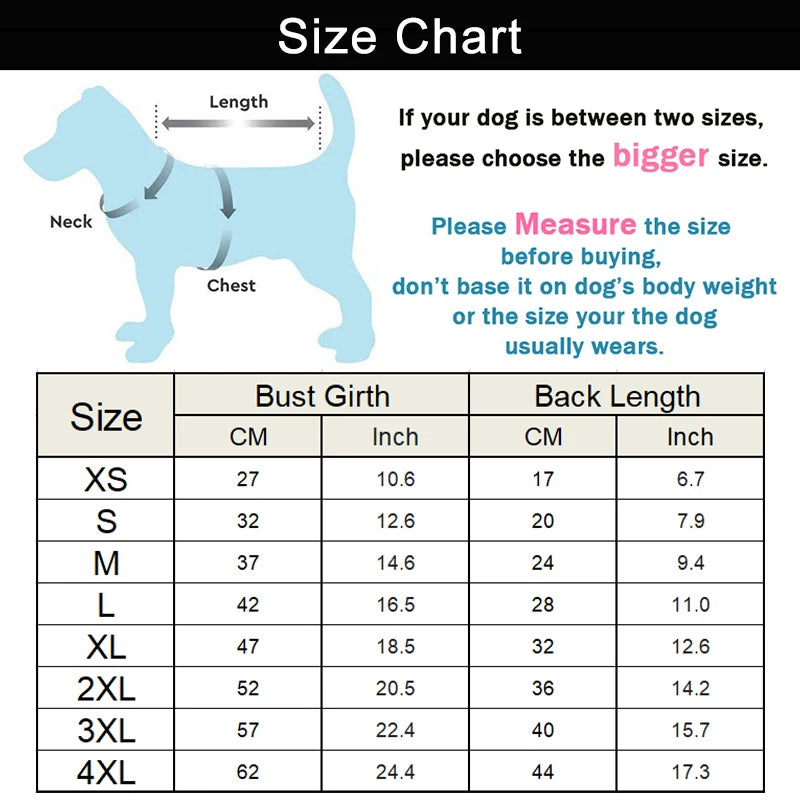 Breathable Summer T-Shirts