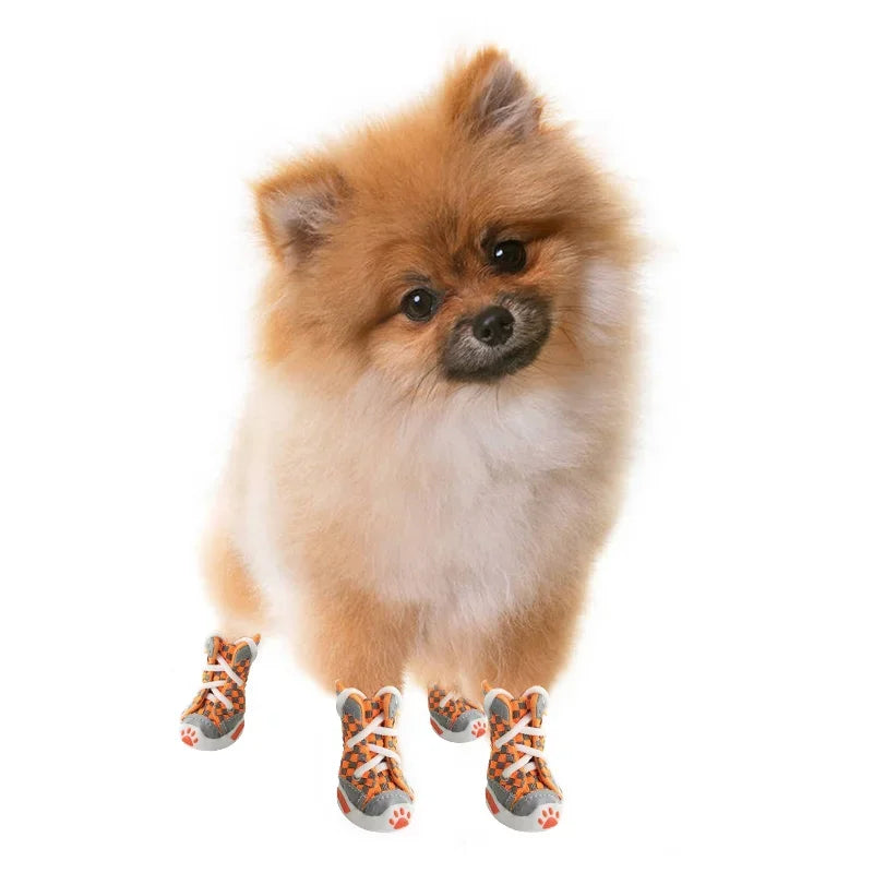 Teddy Bears Dog Shoes