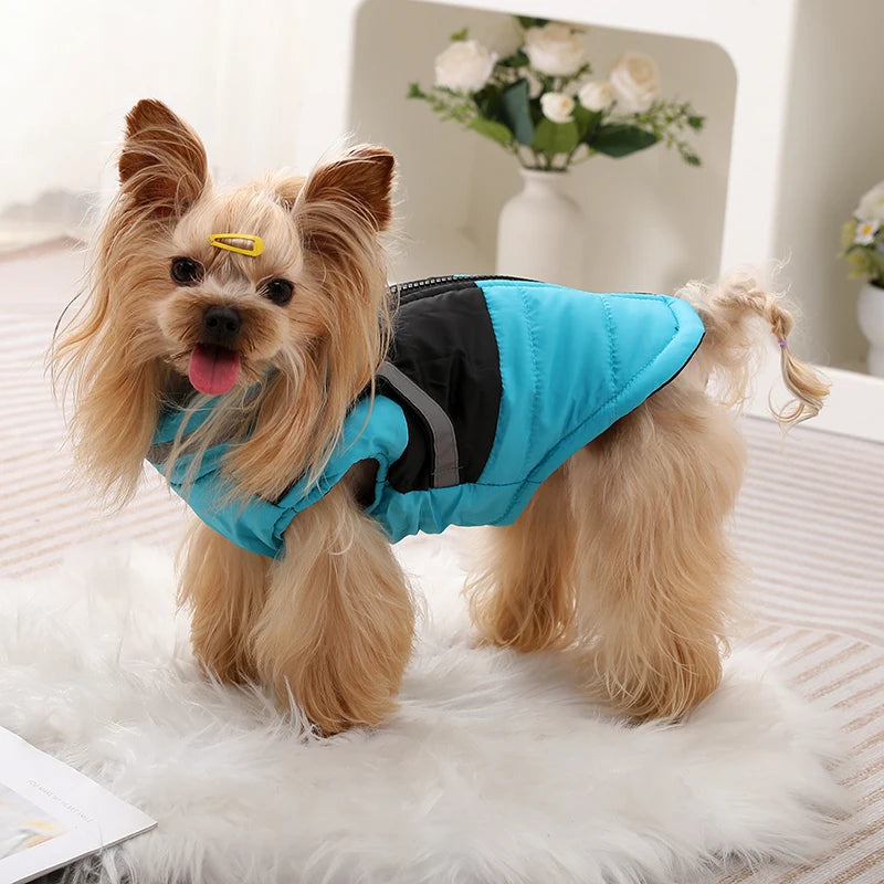 Waterproof Jacket With Harness