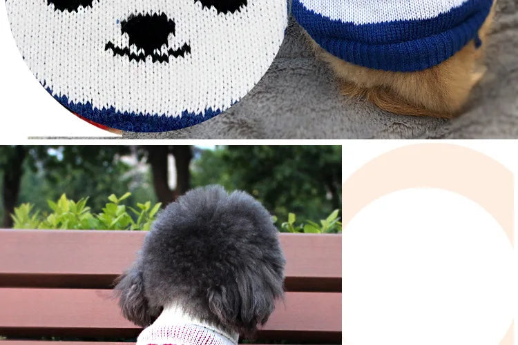 Winter Pet Sweater