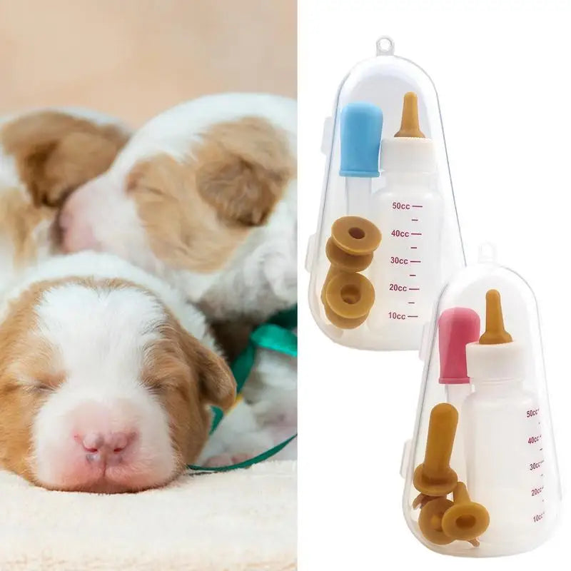 Feeding Bottle Kit With Storage Case