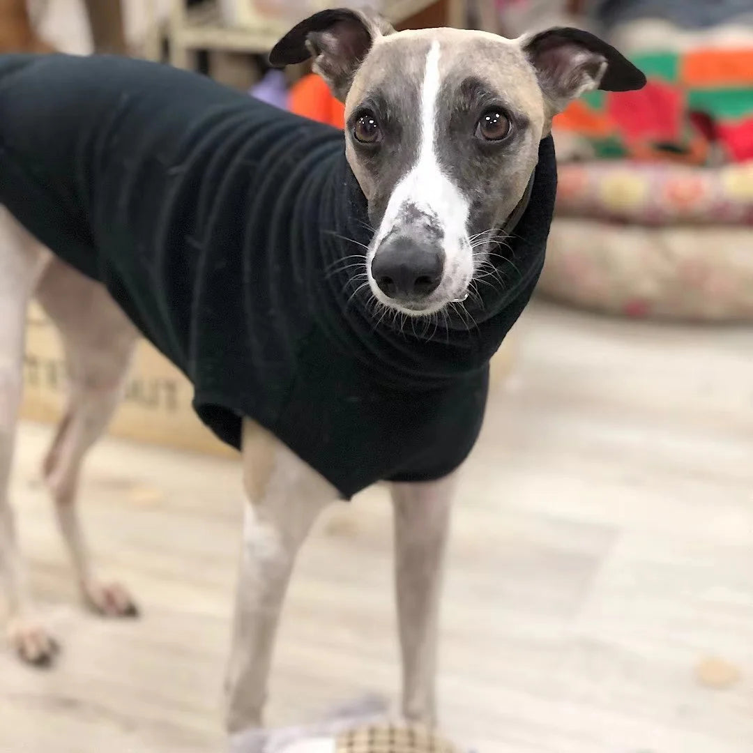 Winter Fleece Italian Greyhound Vest