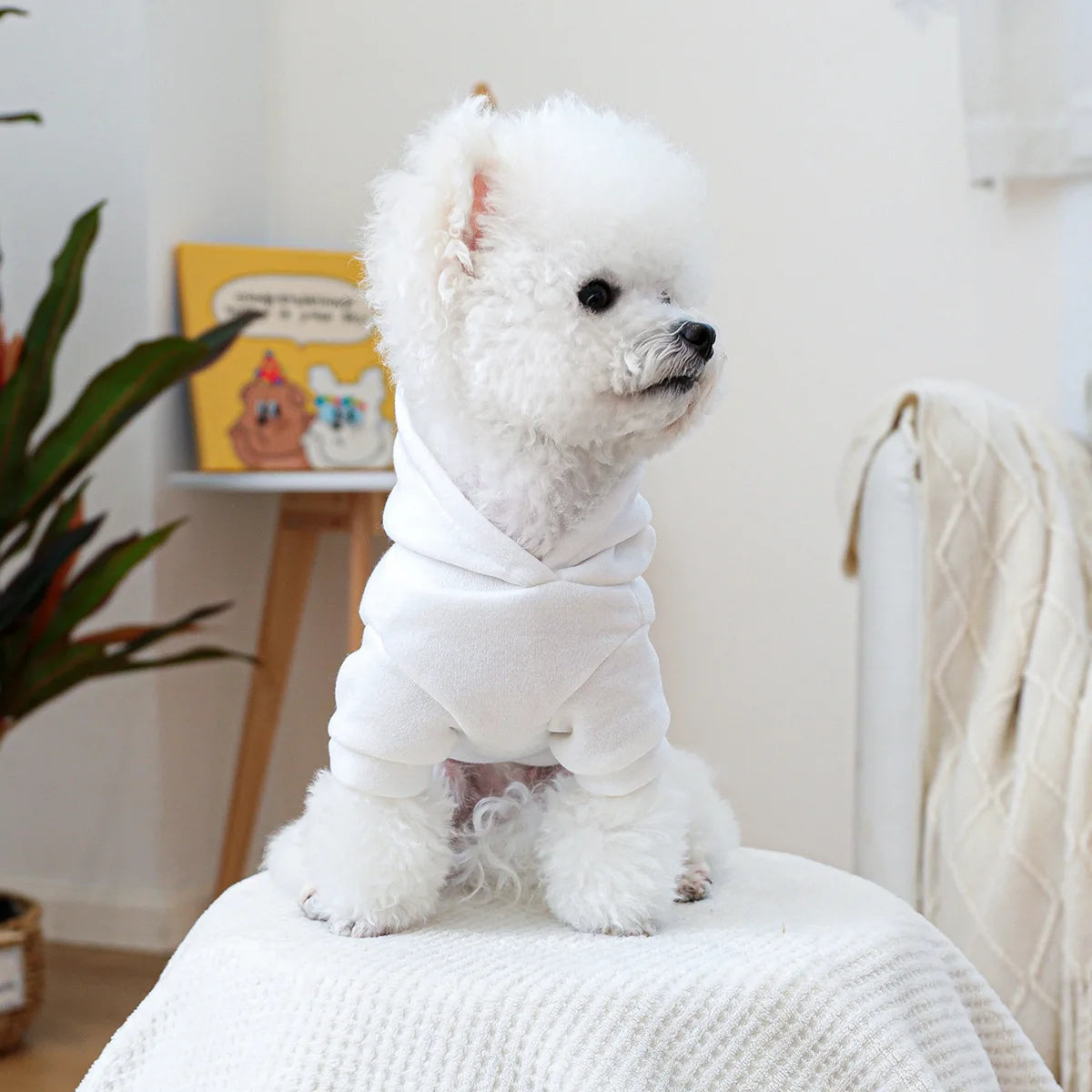 Mini Boss Hooded Sweatshirt