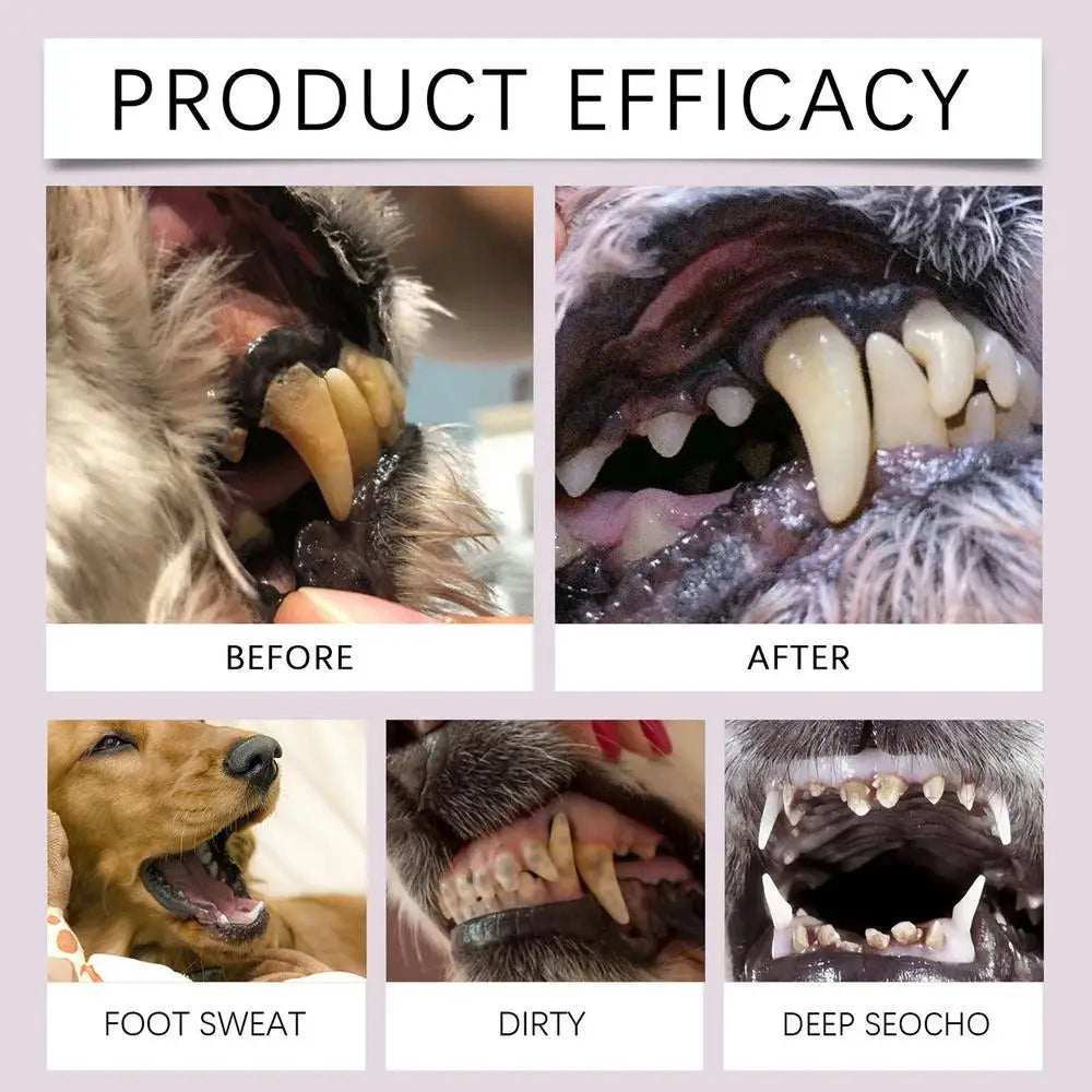 Pet Teeth Cleaning Pen