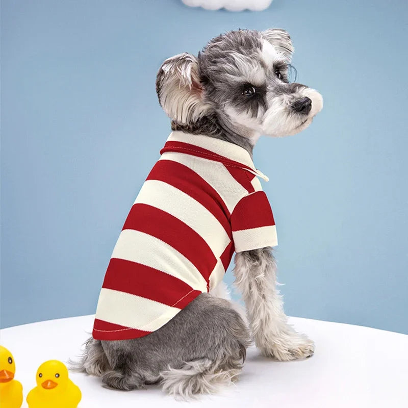 Breathable Summer T-Shirts