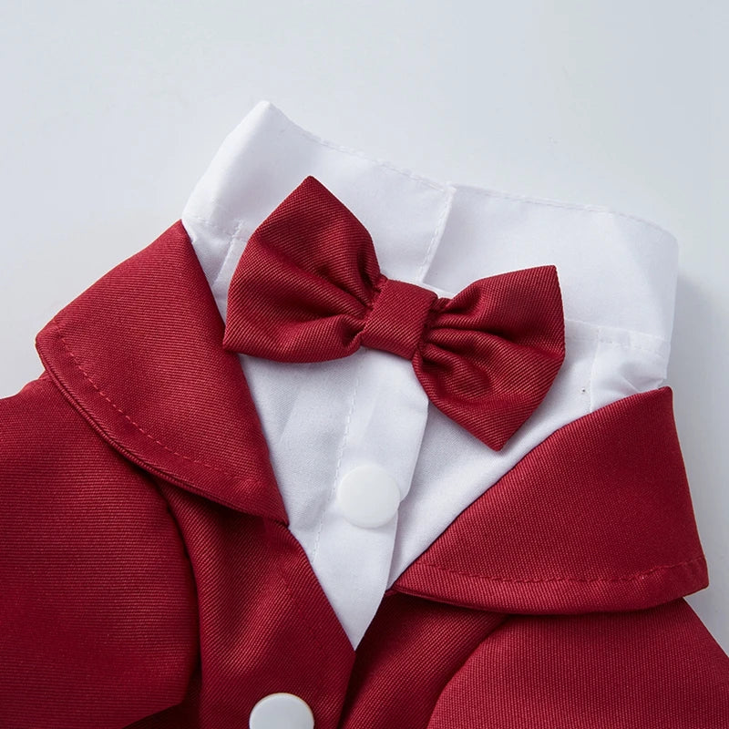 Wedding Shirt Tailcoats With Bow