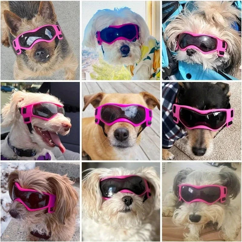 UV Protective Goggles