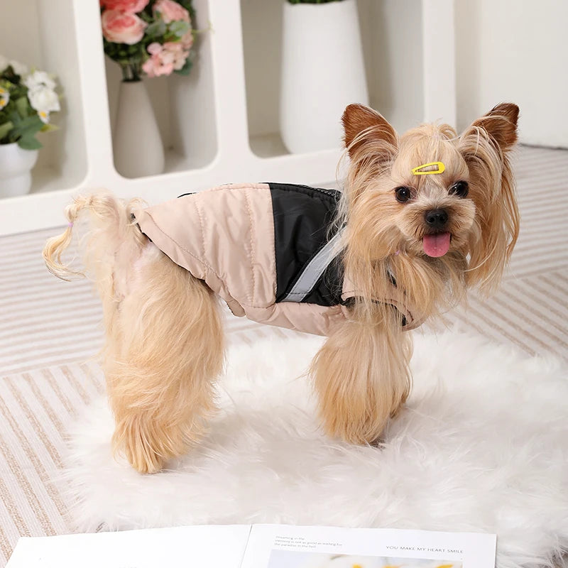 Waterproof Jacket With Harness